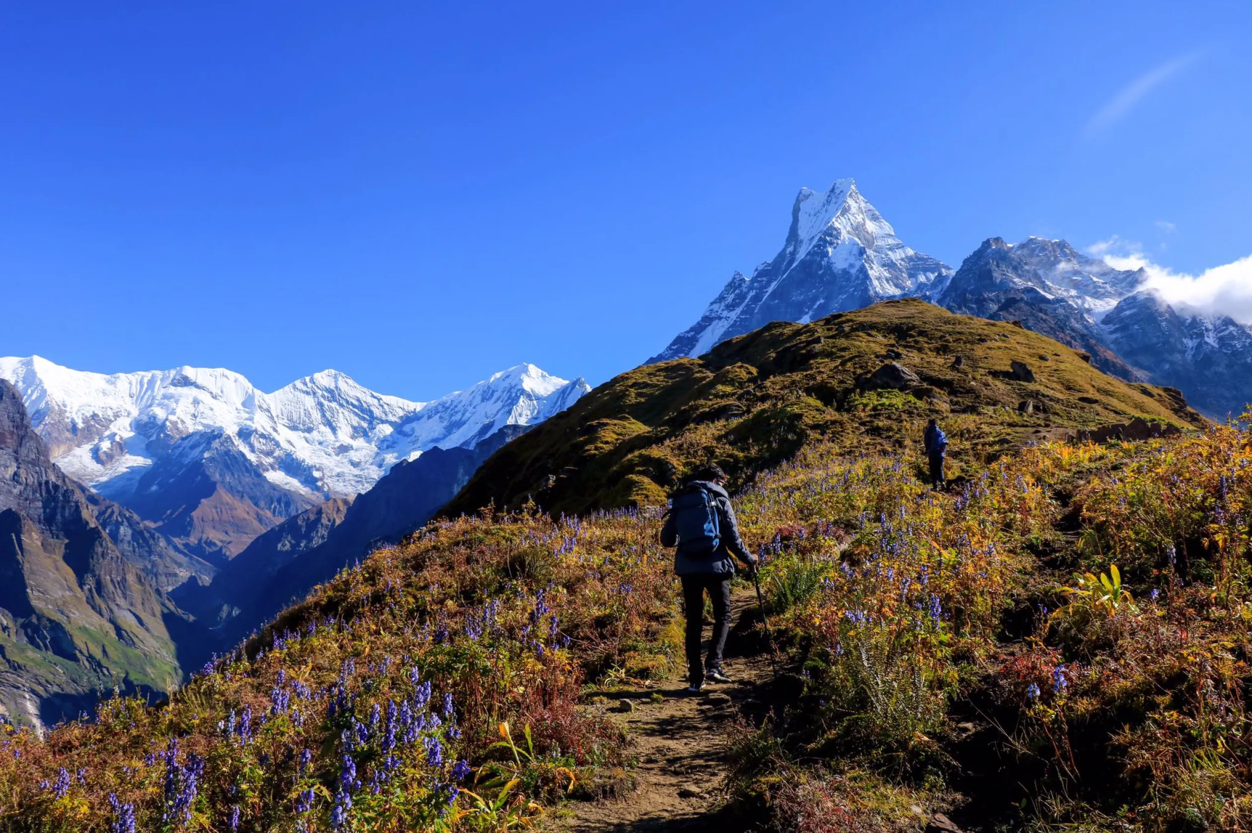 Trekkers exploring the Himalayan trails of Nepal
