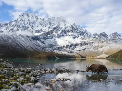Everest Three Pass Trek: Everything You Need to Know