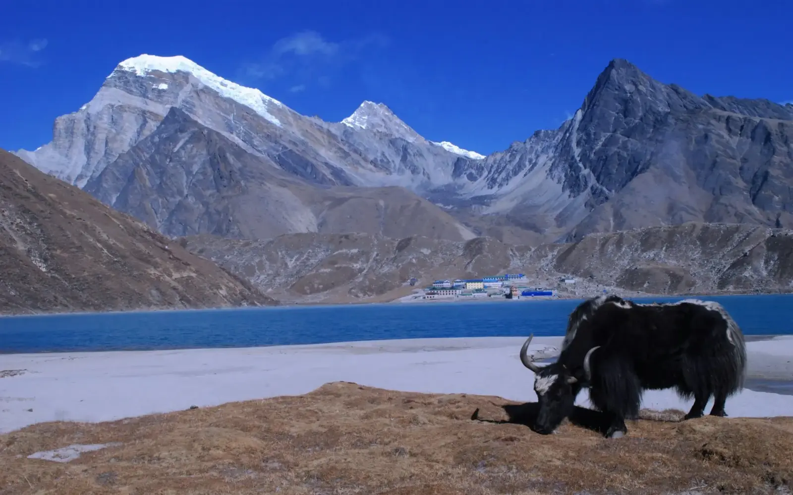 Gokyo Valley Trek: Nature and Adventure in the Everest Region