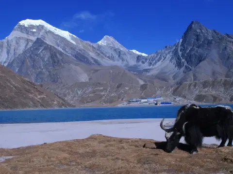 Gokyo Valley Trek: Nature and Adventure in the Everest Region