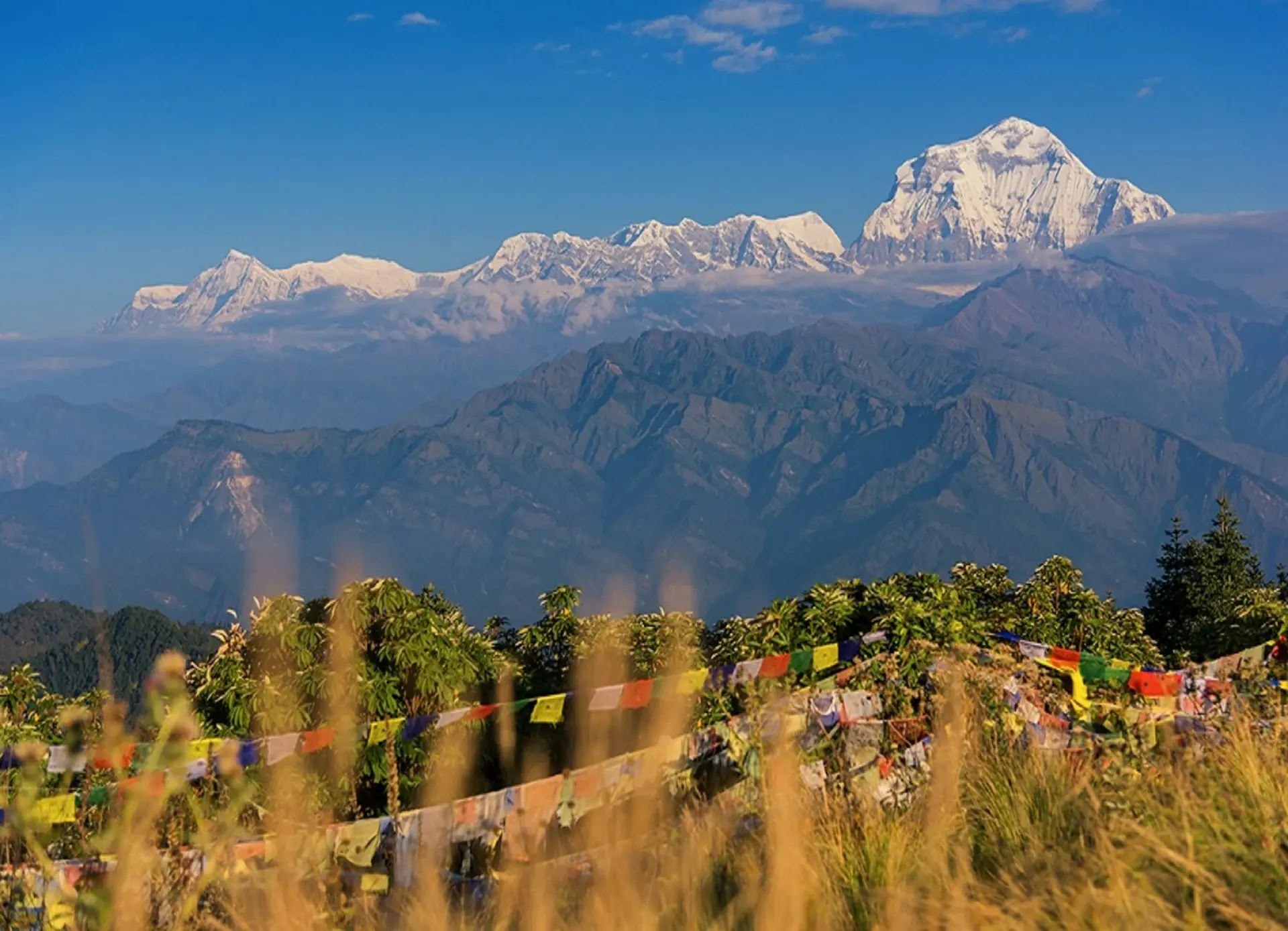 Ghorepani Poon Hill Trekking